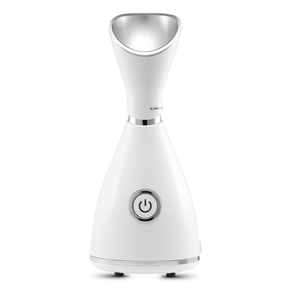 Glow Mist™ — Premium Warm Ionic Facial Steamer