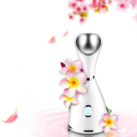 Glow Mist™ — Premium Warm Ionic Facial Steamer