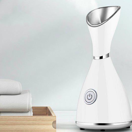 Glow Mist™ — Premium Warm Ionic Facial Steamer