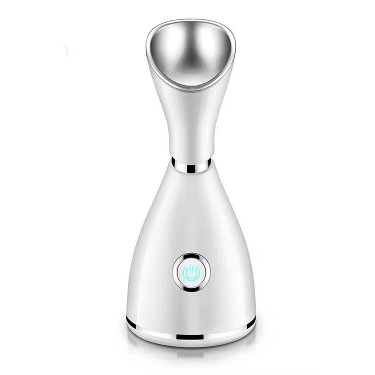 Glow Mist™ — Premium Warm Ionic Facial Steamer